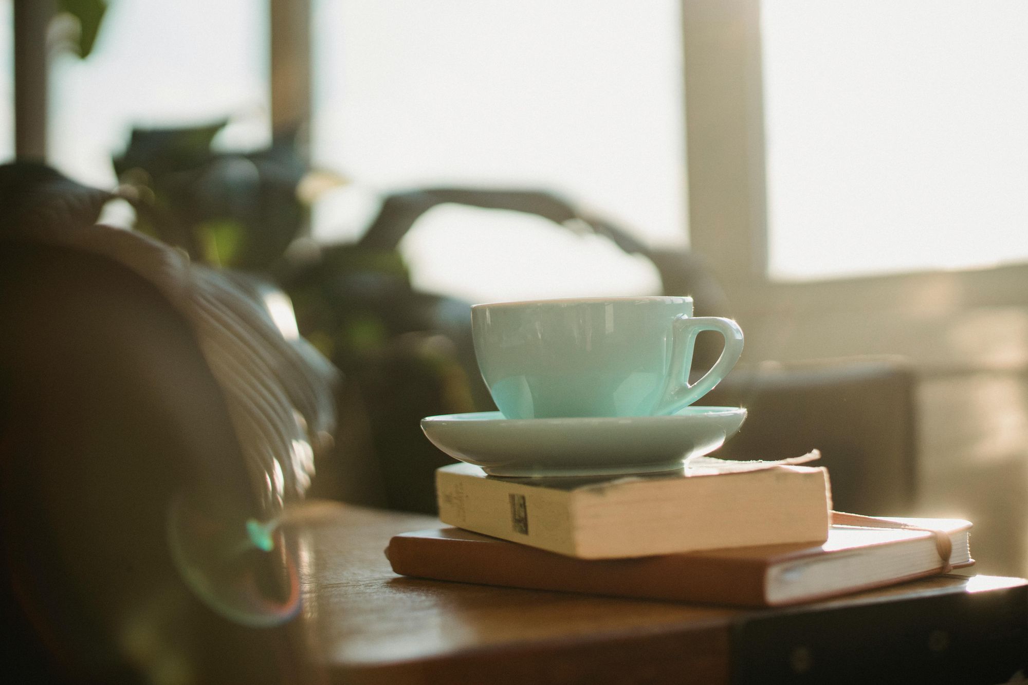 5 Tips Cerdas Memilih Jasa Penerbitan Buku Terpercaya